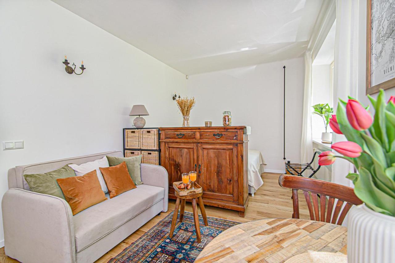 Cozy Studio In The Heart Of Vilnius Old Town Exterior photo